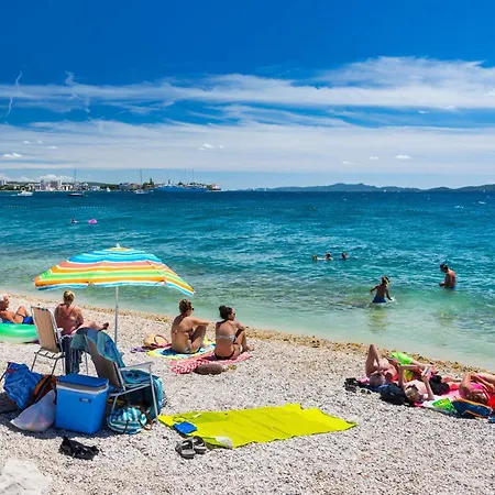 Vesna * Ζαντάρ